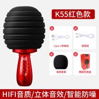 话筒音响一体麦克风手机无线蓝牙家庭KTV卡拉ok儿童全民K歌神器 春节时尚红