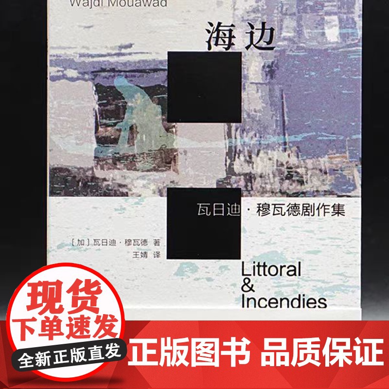 (守望者)海边:瓦日迪·穆瓦德剧作集 收录乌镇戏剧节《海边》和奥斯卡提名电影《焦土之城》剧本 南京大学出版社 2849高清大图