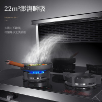 长虹(CHANGHONG) 精致小尺寸家用集成灶消毒柜环保灶自动清洗油烟机侧吸式大吸力烟灶消一体机套装液化气