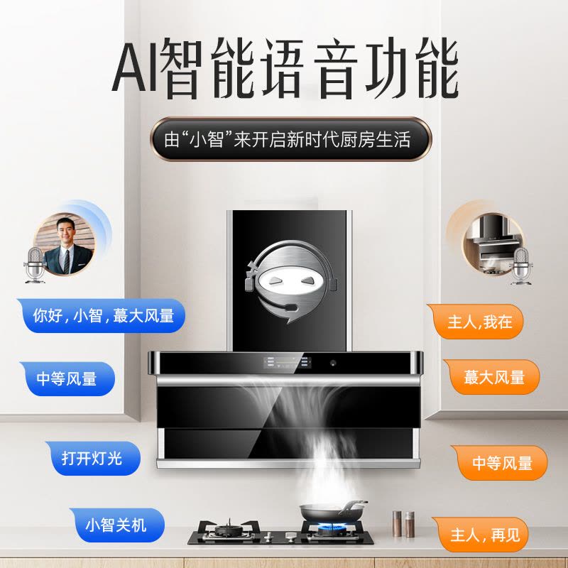 [保五年]直流变频智能语音油电分离欢呼好太太油烟机 家用厨房抽油烟机侧吸顶侧双吸单烟机 40立方大吸力自行安装B919图片