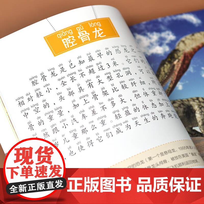 平装小百科 恐龙小百科 3-10岁 介于童书 著 科普百科高清大图