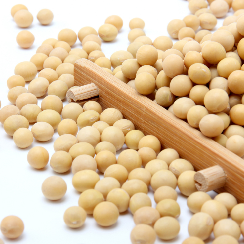 艾谷有机大豆1.9kg大罐装可打豆浆