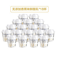 卡士(CLASSY-KISS)酸奶 香蕉味110g*18鲜酪乳低温酸奶 纯牛乳发酵 风味发酵乳
