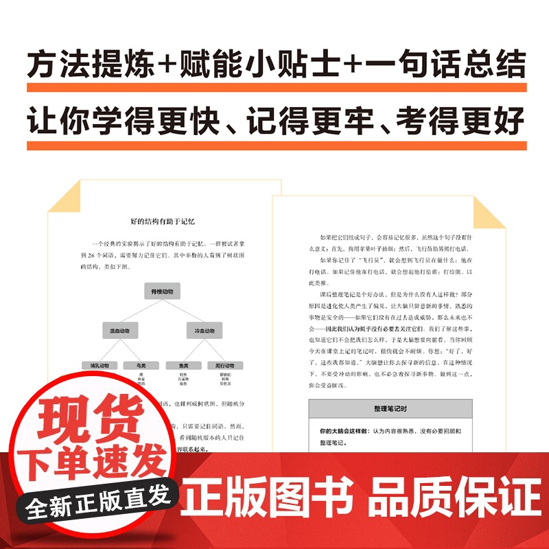大脑想要这样学 高效学习的认知心理学方法 2023年美国十大影响力教育学者威林厄姆教授力作 刘嘉森 李柘远高清大图