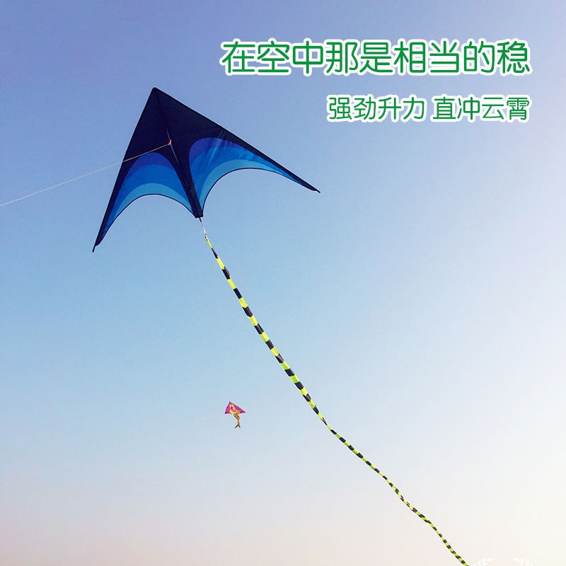 2019新款潍坊风筝原大型微风易飞风筝儿童送长尾创意 三维工匠 大草原+200握轮+精美风筝+绿色高清大图