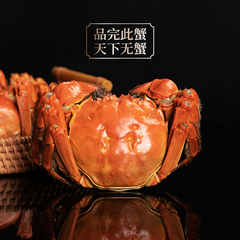 蟹太太大闸蟹精选螃蟹至尊版礼盒装 1680型公3.6两 母2.6两 四对装高清大图