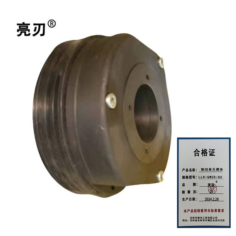 亮刃 制动单元模块 LLR-QWER/80 个高清大图