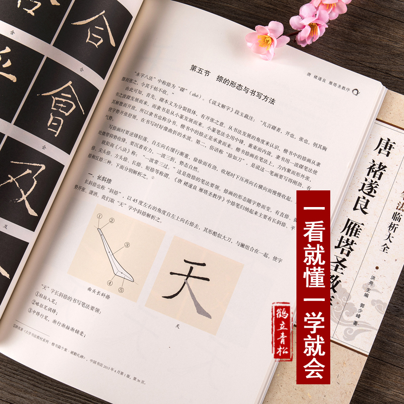 [正版]唐褚遂良 雁塔圣教序 碑帖笔法临析 笔法解析与临摹 作品举例 简体旁注楷书毛笔笔法临摹字帖 安徽美术出版社