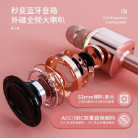 山水(SANSUI)F10麦克风无线话筒蓝牙手机全民K歌神器音响KTV直播专业声卡一体家用唱歌机