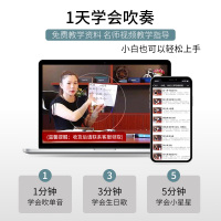 天鹅口琴初学者学生成人儿童24孔复音c调专业演奏级入门自学乐器