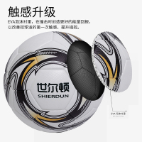 世尔顿(SHIERDUN) 足球 SEDZ-2013 个