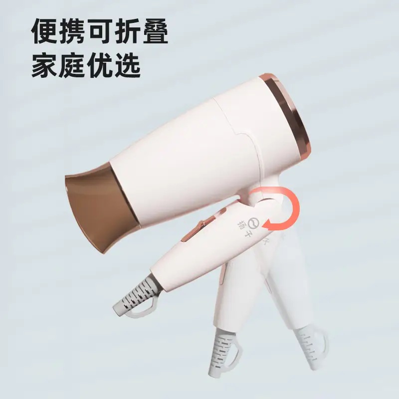 扬子 1260电吹风高清大图