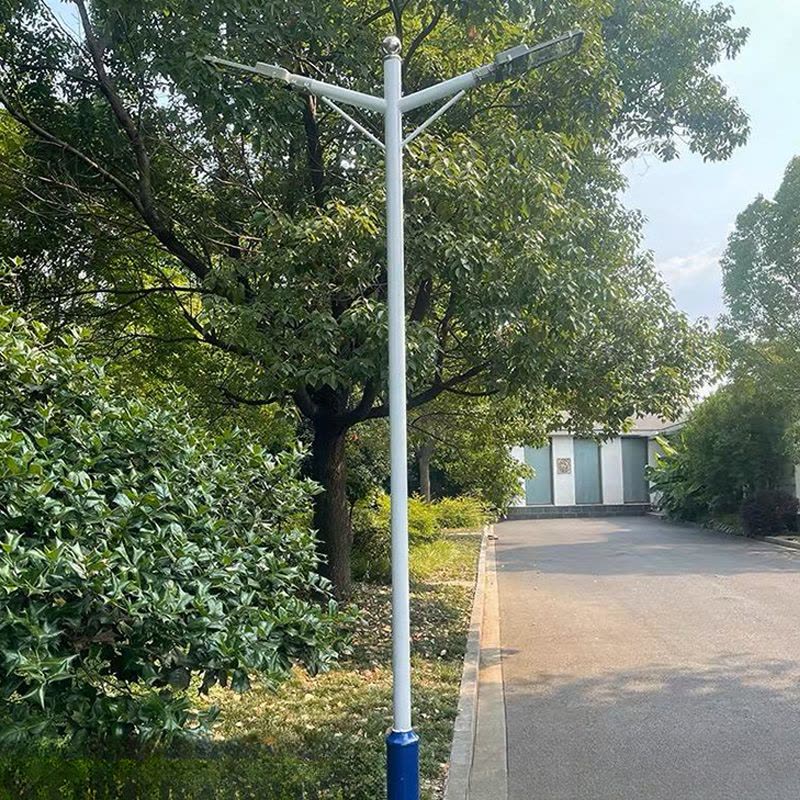 亮思能 LED路灯 市电路灯 双头路灯(含灯杆) LSN-MAQ 盏图片