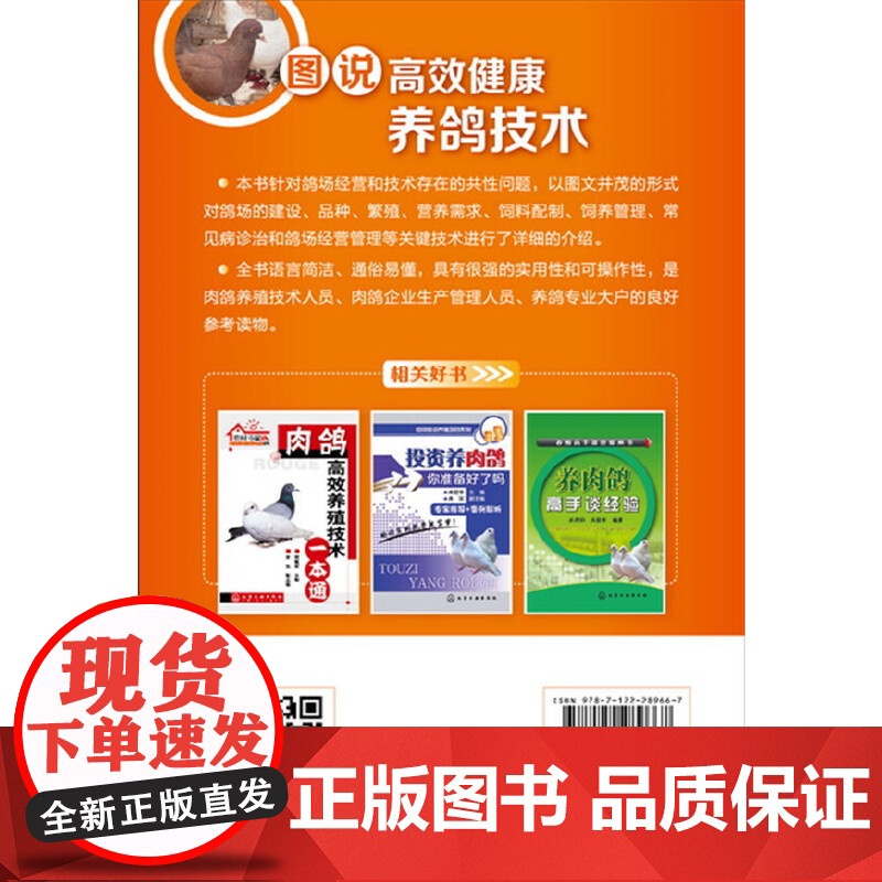 图说高效健康养鸽技术 谭雯 饲料配制鸽场建设鸽场经营管理技术 肉鸽养殖书 品种繁殖营养需求饲料配制常见病诊治养鸽子书高清大图