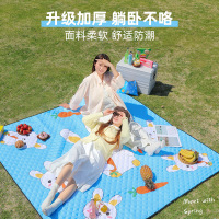 公狼户外牛津布防潮垫便携防水郊游春游地垫布垫子露营草坪野餐垫
