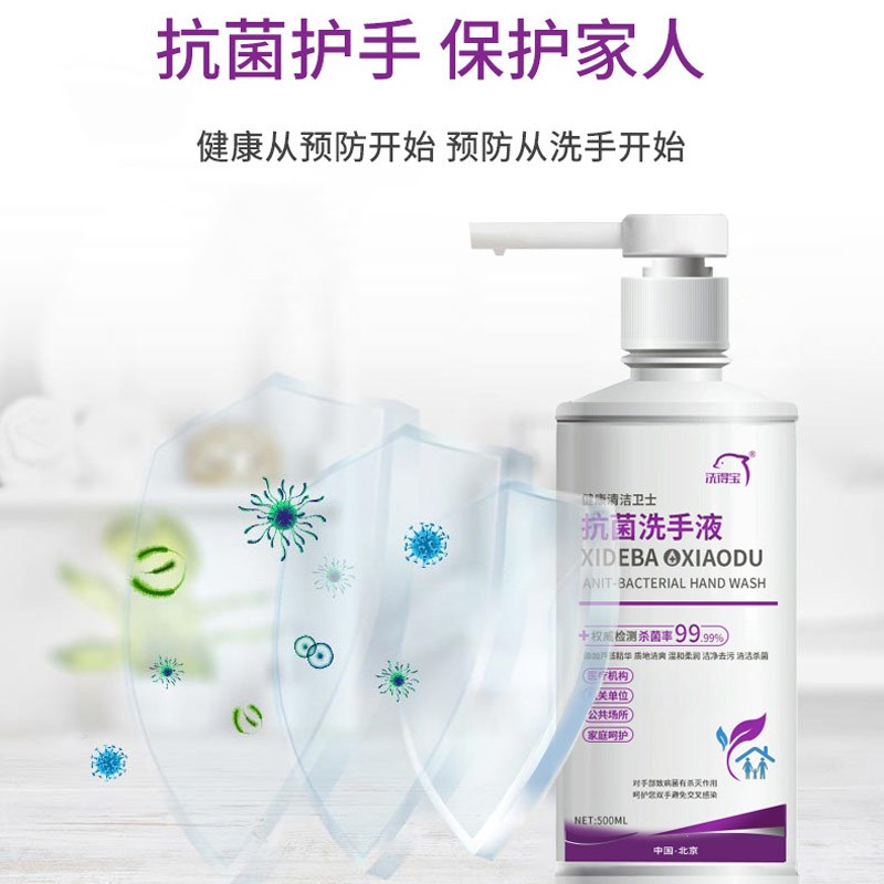 洗得宝 洗手液 抗菌洗手消毒液500ml 办公室按压式清洁 2瓶/袋(单位:袋)
