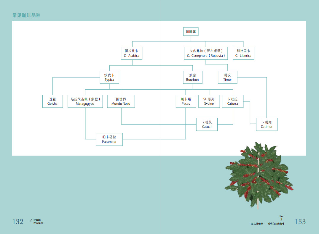 [醉染正版]生活-好咖啡没有秘密小山咖啡茶酒饮品饮食文化咖啡文化咖啡制作咖啡品鉴超实用咖啡生活轻知识破解日常各种迷思帮你高清大图