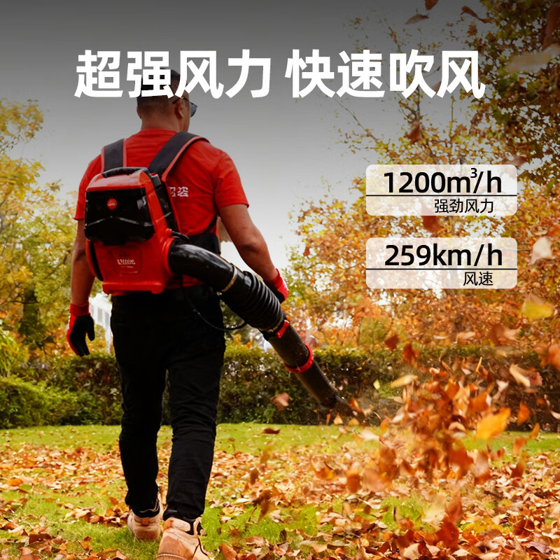 凯姿(KAZZ)锂电背负式吹风机吹树叶大功率除尘吹灰鼓风机强力大棚吹雪机80V KZ980BL 2电2充 单位:台高清大图
