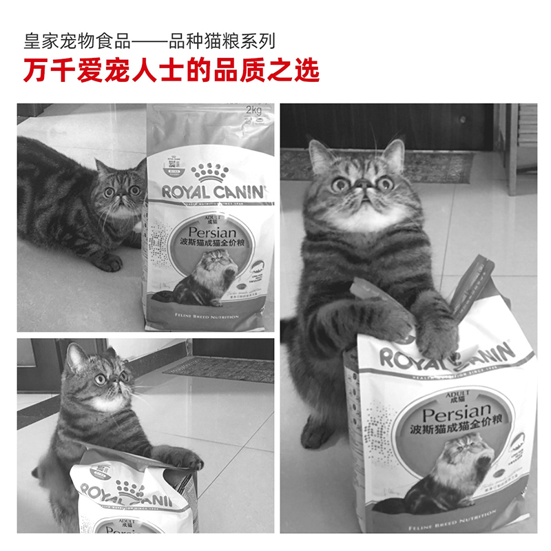 皇家(royal canin) 猫粮 波斯猫 成猫粮 P30 10kg 波斯猫粮 加菲猫