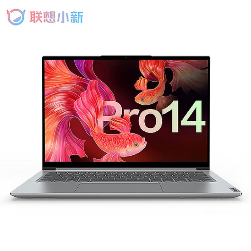 联想(Lenovo)小新Pro14 全新锐龙 R5-5600H/16G/512G/集/14英寸/银 90hz高刷 2.8k高清分辨率 win11 商务办公 网课学习 企业采购