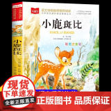 小鹿斑比彩图注音版大语文--小学语文课外阅读经典丛书 低年级小学生课外书一二年级睡前故事书儿童文学名著6-7-8周岁老童