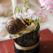 家柏饰(CORATED)仿真大蜗牛花盆花瓶鱼缸装饰挂件摆件礼品励志花园阳台