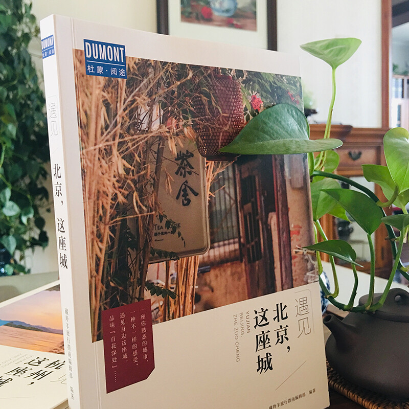 [正版]北京 这座城 藏羚羊旅行指南编辑部 著 旅游地图高清大图