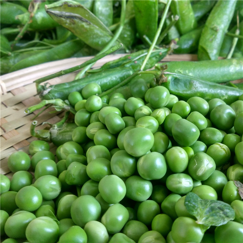 新鲜豌豆 带壳嫩青豆荚甜豆 生鲜蔬菜 2500g