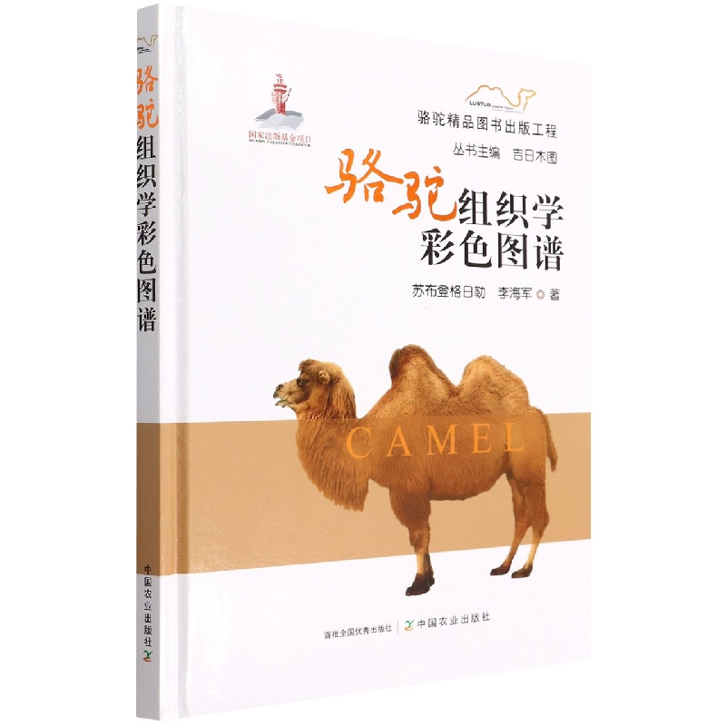 骆驼组织学彩色图谱