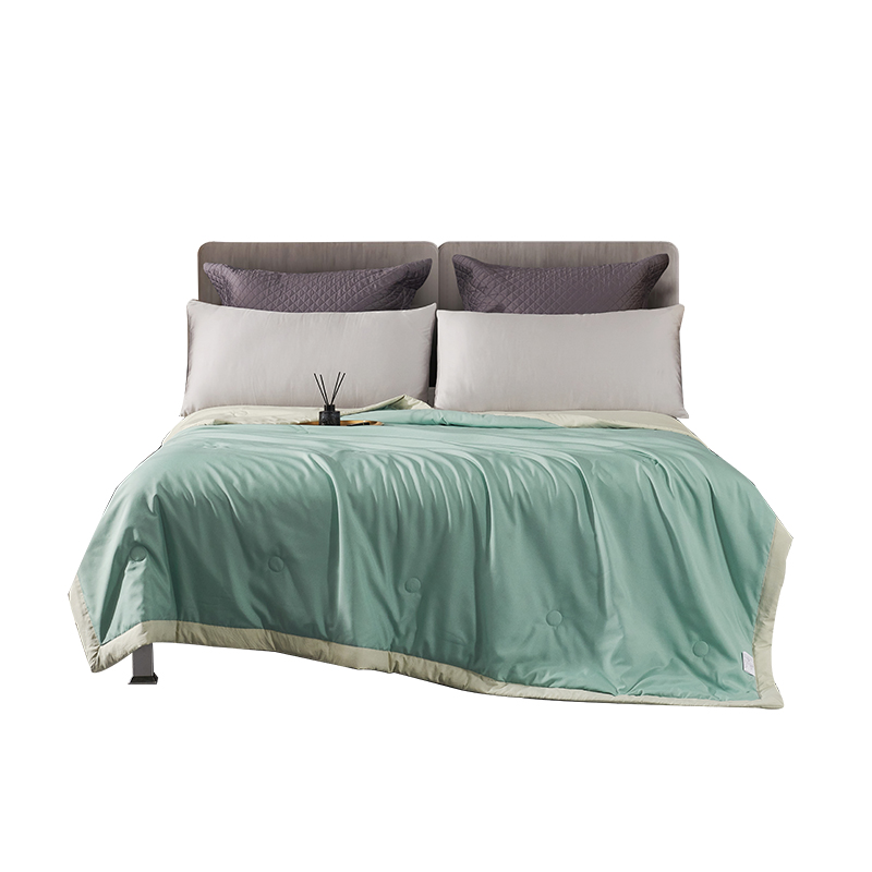 艾逸瑶选 克莱恩抗菌被200x230cm JF-24110