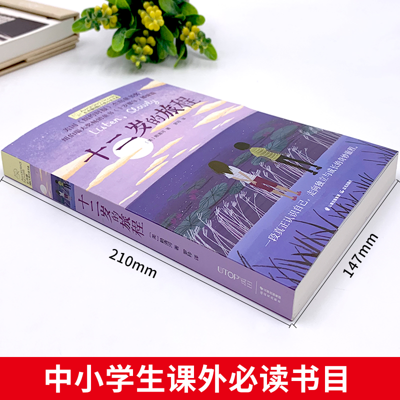 [老师推荐全4册]十二岁的旅程+想赢的男孩+那年深夏+织梦人 [正版]十二岁的旅程长青藤国际大奖小说青少年儿童文学读物小高清大图