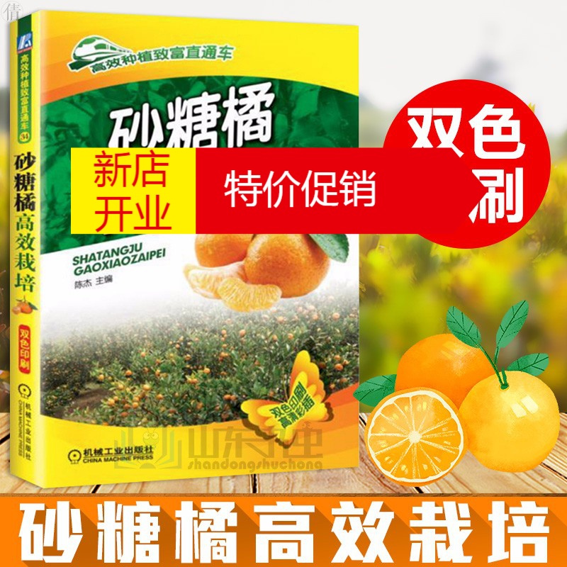 鹏辰正版砂糖橘高效栽培aumaf1fbbmezptzcwgncvuumglxcjoqfz 无著 摘要书评在线阅读 苏宁易购图书