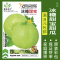 [补贴10%]蔬菜种子四季播种阳台农家盆栽香菜菠菜生菜韭菜小葱草莓籽孑大全