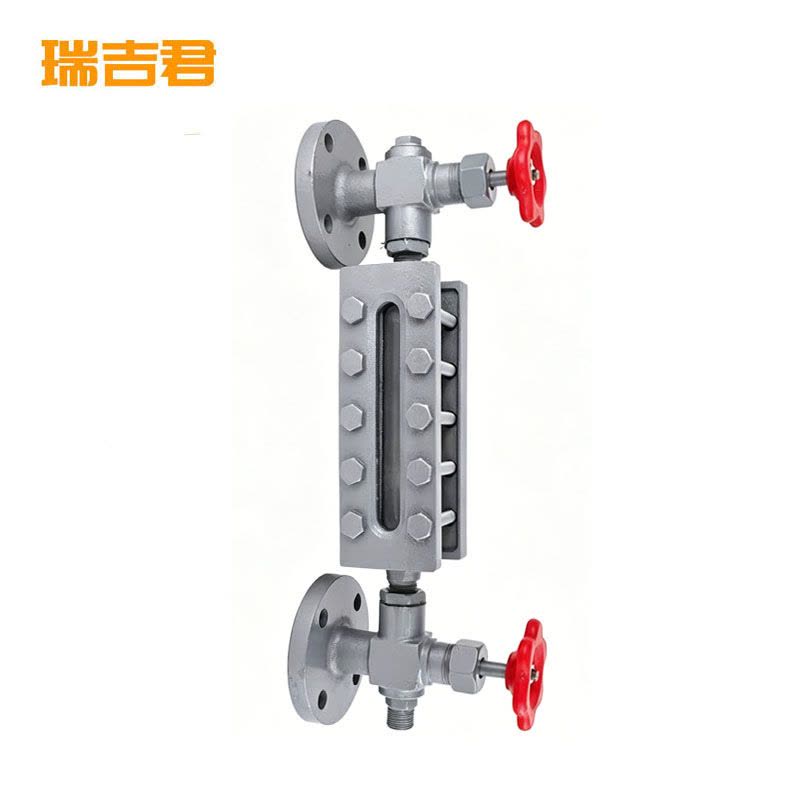 瑞吉君 水位计 WJD-1 个图片