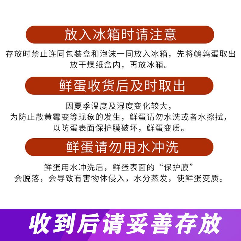 快挑食 新鲜鹌鹑蛋鸟蛋50枚 农家散养非鸡蛋鹅蛋鸽子蛋鸭蛋变蛋高清大图