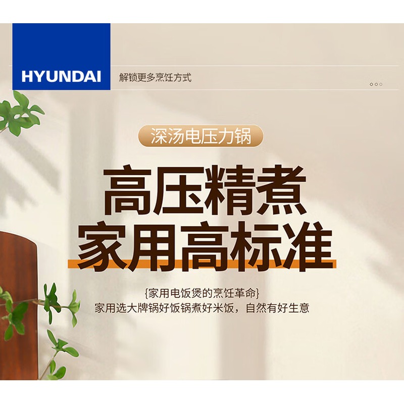 HYUNDAI 电压力锅QT-X1-60-B-D高清大图