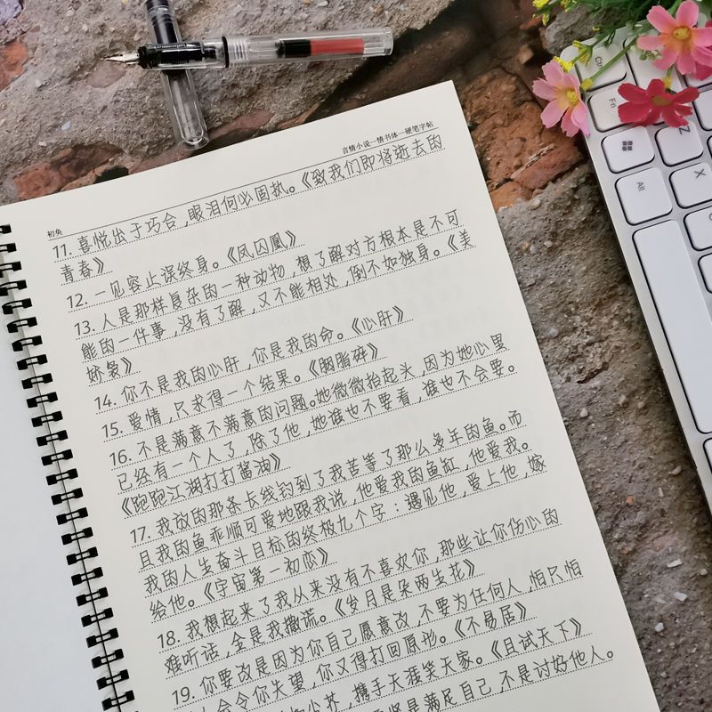 言情小说白日梦我草莓印周边校园甜宠虐心语初中生高中生钢笔字帖 情书体 [套餐一]单本字帖(无赠品 )不推荐
