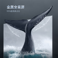 长虹75D5 75英寸 全景屏 2+16GB 点阵光控 智慧语音 四大传屏 平板液晶LED电视机