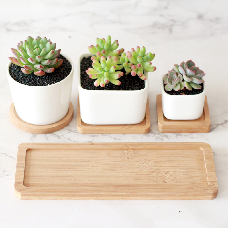 津沽园艺花盆竹托方形中号花托底托多肉植物花盆底托白瓷花盆托盘防止