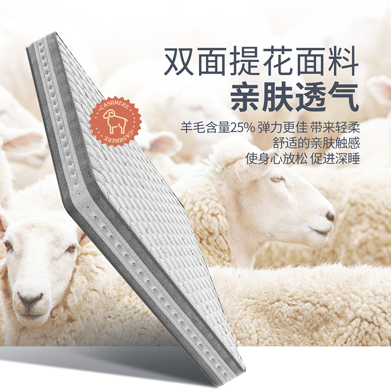 掌上明珠20cm椰棕弹簧床垫家经济型整网弹簧棕垫 深睡高清大图