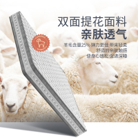 掌上明珠20cm椰棕弹簧床垫家经济型整网弹簧棕垫 深睡