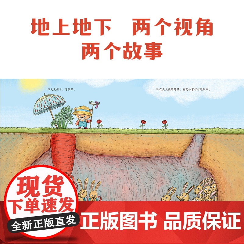 你为什么不开花(中信童书世界精选绘本)高清大图