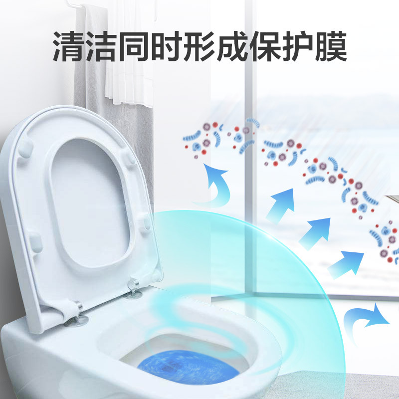 绿之源 (50g*6块)蓝泡泡洁厕宝卫生间厕所马桶除臭去味洁厕块Z-1887