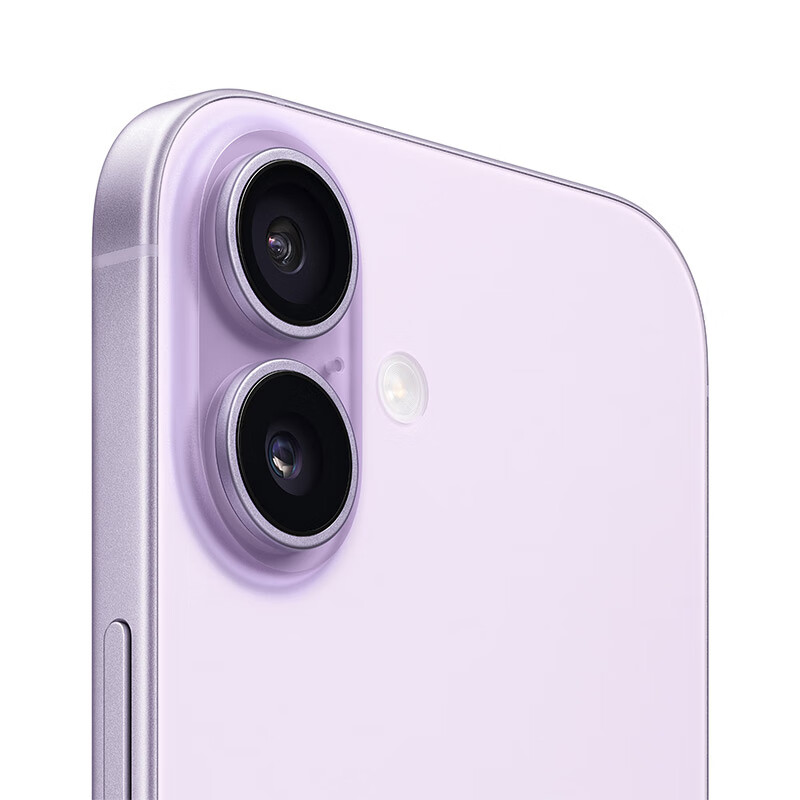 Apple/苹果 iPhone 17 256GB 薰衣草紫色 支持移动联通电信5G 双卡双待手机高清大图