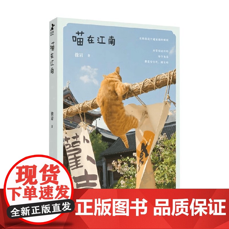 喵在江南 徐岩 著 摄影高清大图