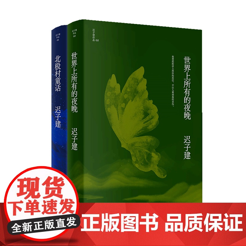 迟子建小说代表作(世界上所有的夜晚+北极村童话)茅盾文学奖 鲁迅文学奖得主迟子建小说代表作 迟子建文学王国的起点 短篇小高清大图