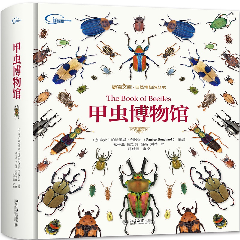 [正版]甲虫博物馆(精)/自然博物馆丛书/博物文库 科普读物 生物世界 动物 形态 尺寸和色彩令人目不暇接 科学家和采高清大图
