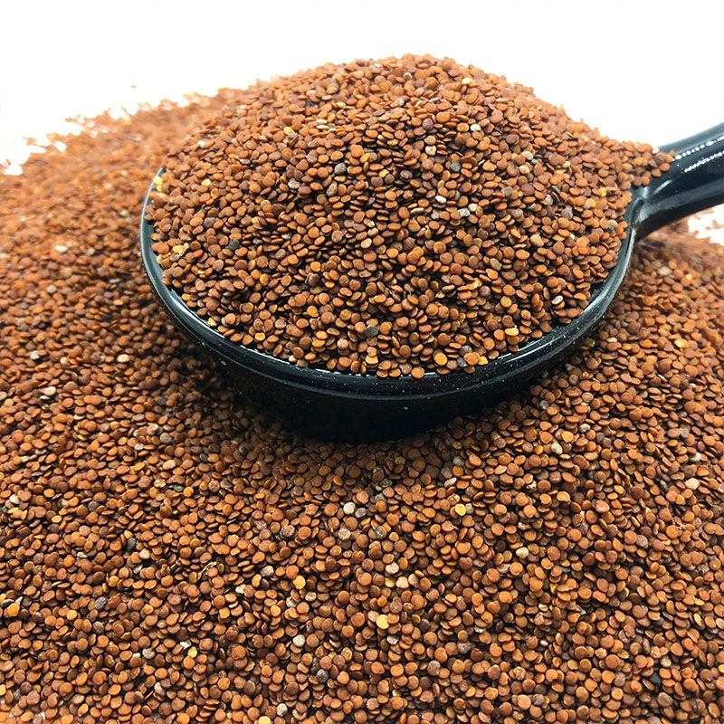 冰粉籽正宗四川手搓冰粉籽籽手工气泡冰粉原料商用批发野生冰粉籽 100