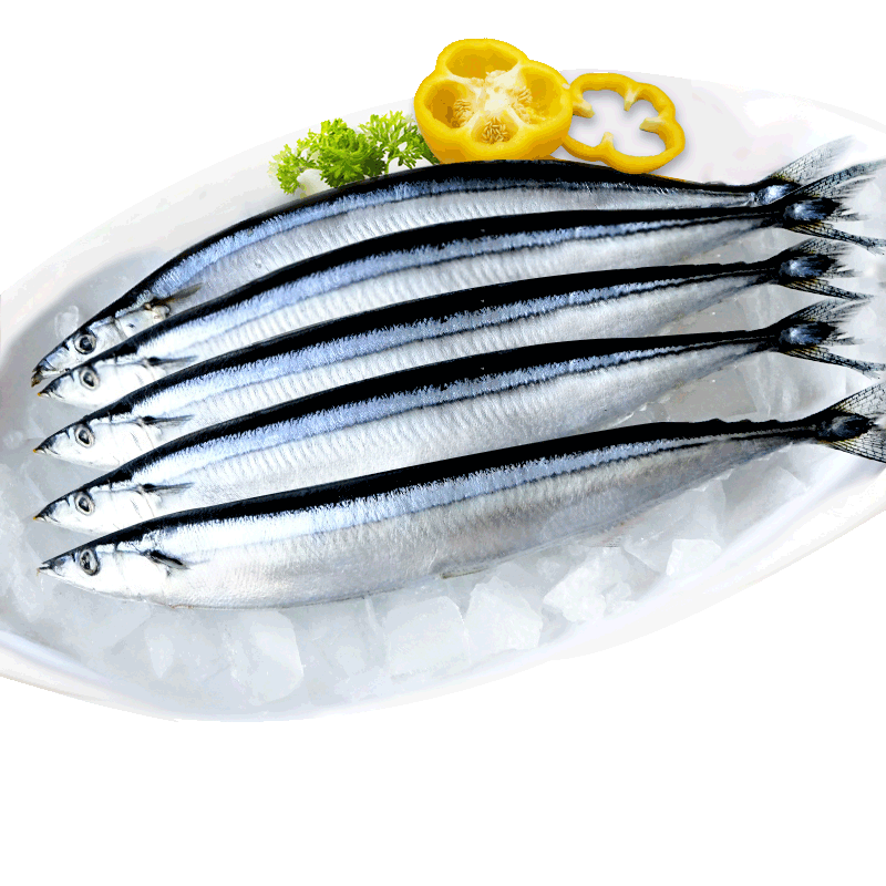 赛卡伊秋刀鱼鲜冷冻新鲜海鲜鱼鲜活深海鱼日式烧烤食材精先美味秋刀鱼
