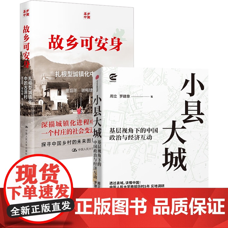 小县大城+故乡可安身 董磊明 等 著 经济理论高清大图